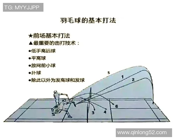 羽毛球新手必看：团队协作技巧与实战策略全解析